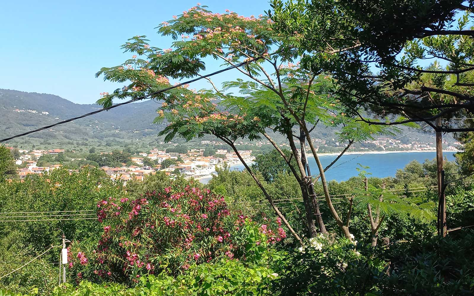 Villa Dimitra στη Θάσο - Μπαλκόνι με θέα στη θάλασσα και στον κήπο