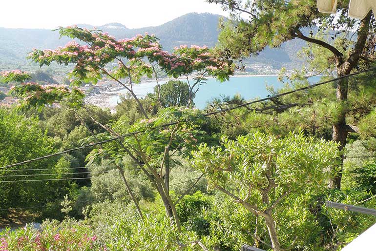 Καταπράσινο τοπίο στο Villa Dimitra στη Θάσο