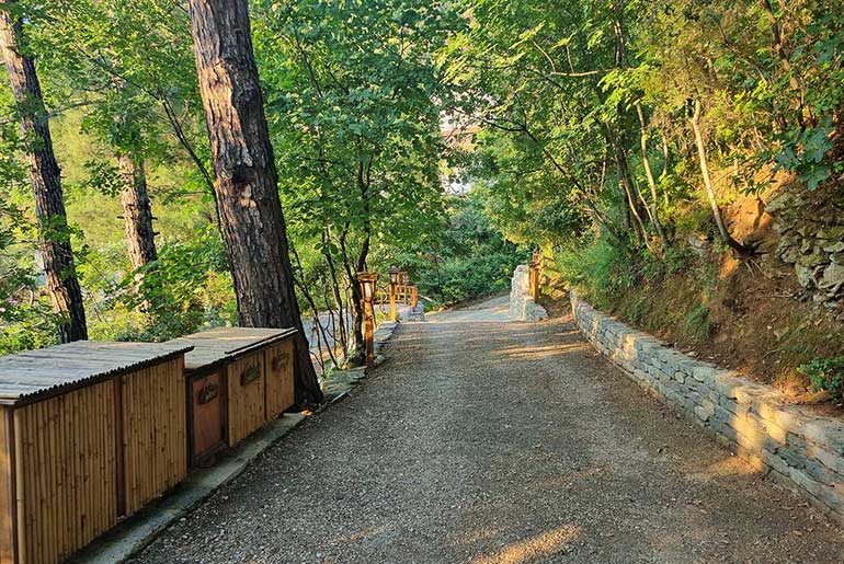 Πλούσια βλάστηση στους ςεξωτερικούς χώρους του Villa Dimitra