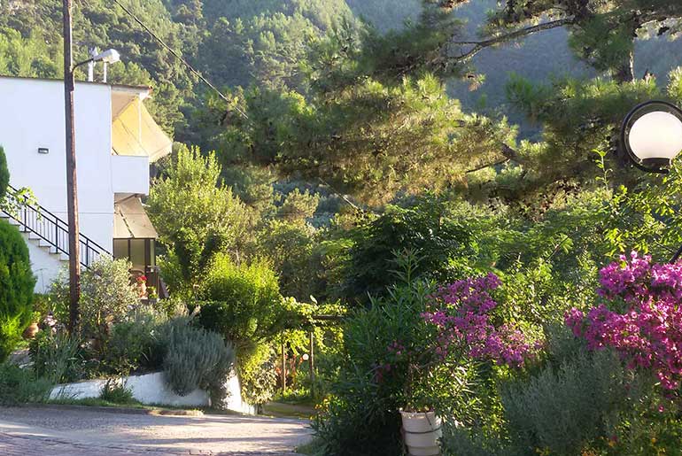 Villa Dimitra στη Θάσο