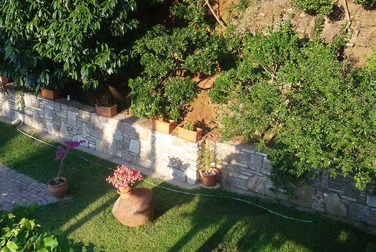 Εξωτερικοί χώροι στο Villa Dimitra στη Θάσο